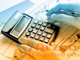 Business Accounting Consultant