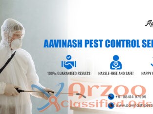 Best Pest Control Services experts in Chennai