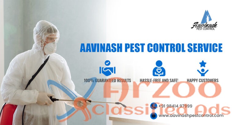 Best Pest Control Services experts in Chennai