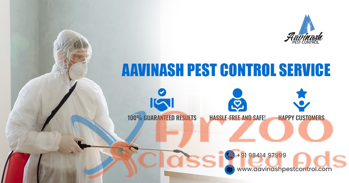 Best Pest Control Services experts in Chennai