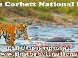 Jim Corbett National Park