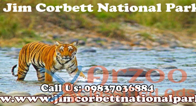 Jim Corbett National Park