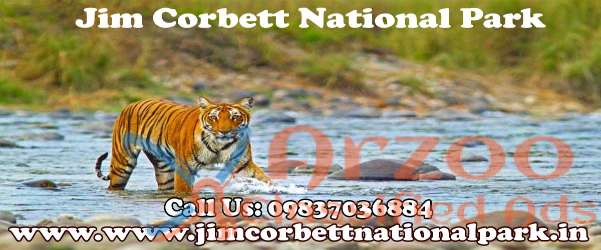 Jim Corbett National Park