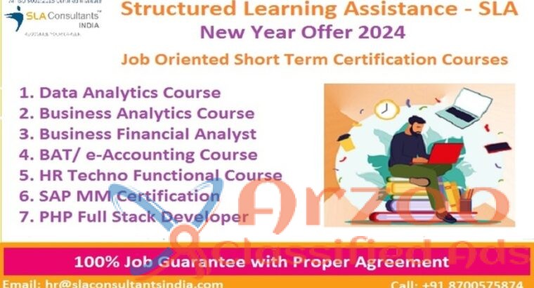 Business Analyst Training in Delhi, SLA Institute,