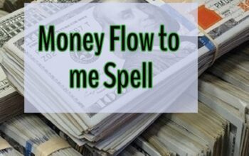 Money Spells to increase your Wealth income